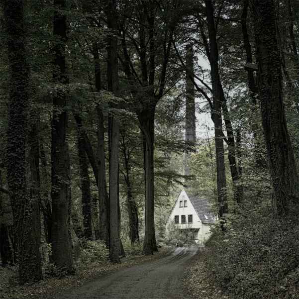 photo of a house surrounded by tall trees